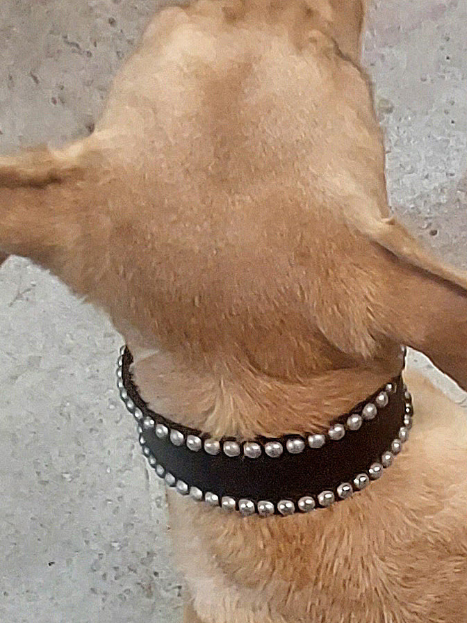 Studded Leather Dog Collar