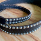 Studded Leather Dog Collar